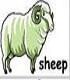 hình ảnh con cừu
