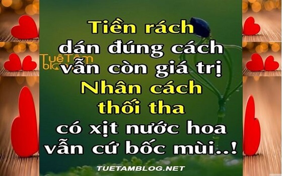 25 CHÂN LÝ SỐNG TỰ NGẪM SỰ ĐỜI  - CHUẨN XÁC TỪNG CÂU CHỮ