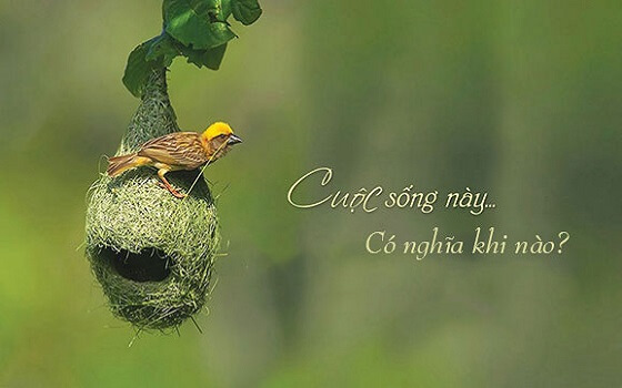 7 Chân lý đơn giản nhưng hầu hết mọi người không nhận ra, thấu hiểu được nhất định sẽ có một đời an nhiên