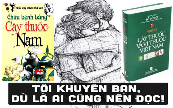 Bách Khoa Toàn Tập Những Cây Thuốc Và Vị Thuốc Việt Nam - Gs.Đỗ Tất Lợi