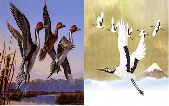 CHÂN VỊT Tuy Ngắn - Nối Dài Thì Nó Khổ; CHÂN HẠC Tuy Dài - Cắt Ngắn Thì Nó Sầu