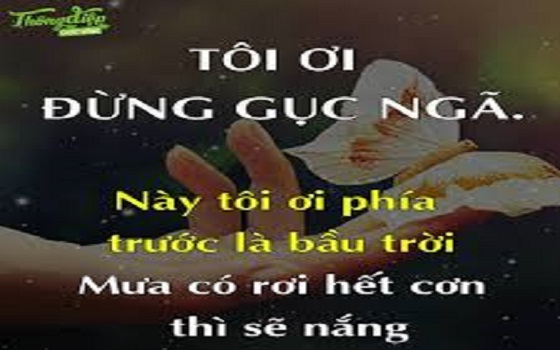Gặp Khó Khăn Đừng Vội Gục Ngã, Bởi Đường Đời Càng Chông Gai Thì Hậu Vận Càng Tốt Đẹp
