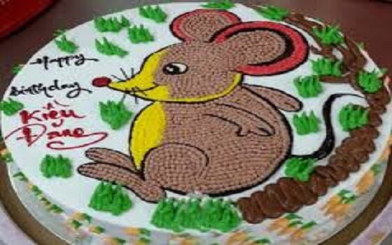 Sinh nhật tuổi tý 2