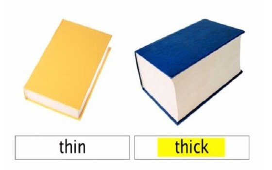 50 từ vựng tiếng anh