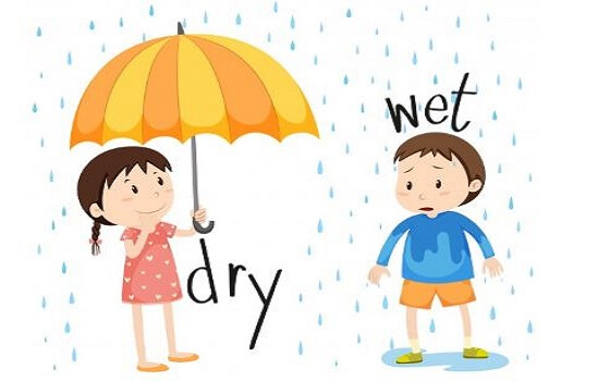 85 từ vựng tiếng anh