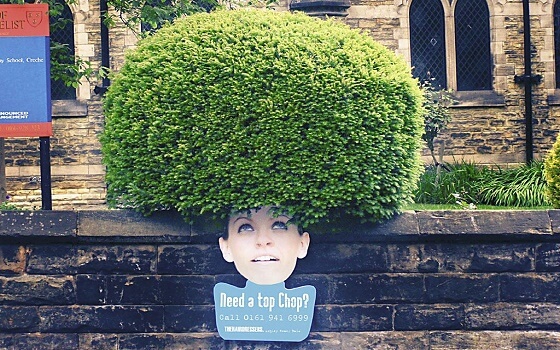 Đang tải d041af6882fbe424d7bb19f4e5adb388.jpg…