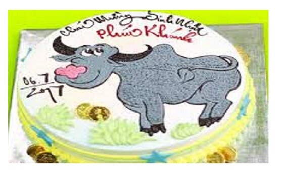 Sinh nhật tuổi sửu 1