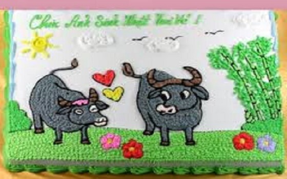 Sinh nhật tuổi sửu 2