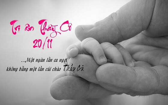 Ngày 20/11: Những bài văn hay và xúc động viết về thầy cô, giáo 4