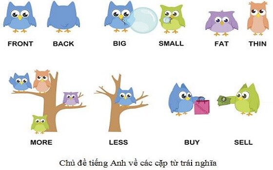 Chủ đề tiếng Anh lớp 2 về cặp từ trái nghĩa