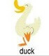 con vịt