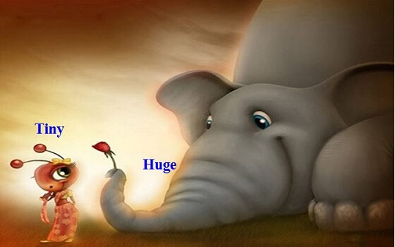 Từ trái nghĩa tiếng anh