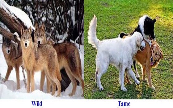 từ vựng tiếng anh 2