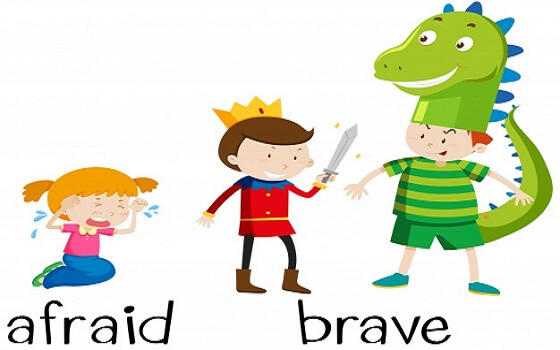 Từ trái nghĩa thông dụng