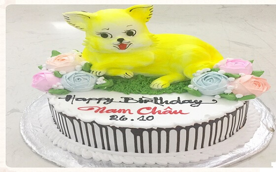 Sinh nhật tuổi mèo 1