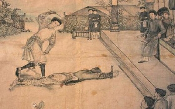 Bo luat nao quy dinh chong danh vo bi xu tu? hinh anh 5