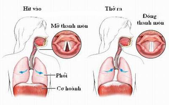 Luyện mở vòm cộng minh (được  gọi là khoang miệng)