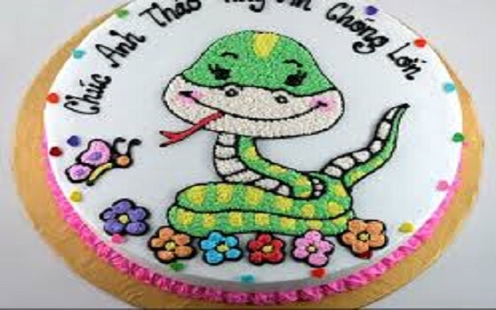 Sinh nhật tuổi rắn 1