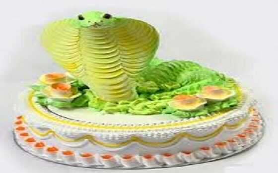 Sinh nhật tuổi rắn 2