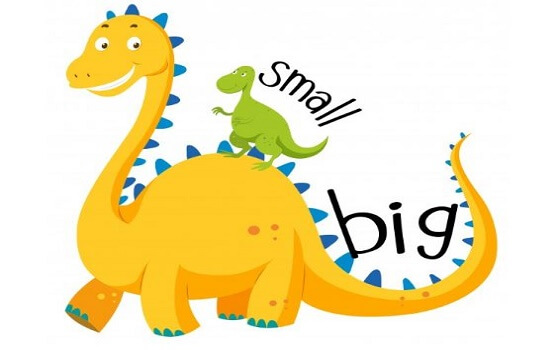 từ vựng tiếng anh to- nhỏ