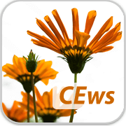 phần mềm học tiếng anh complete english