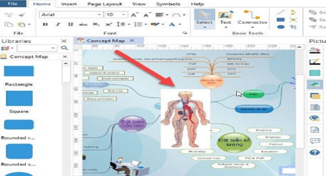 Sơ đồ tư duy Edraw Mind Map 2