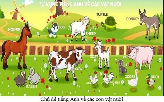 chủ đề tiếng anh lớp 2 về các con vật
