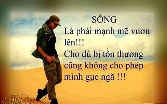 Sống phải mạnh mẽ lên