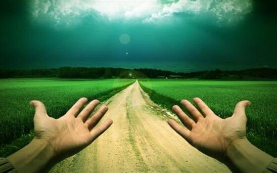 Cứ đi con đường bạn đã chọn