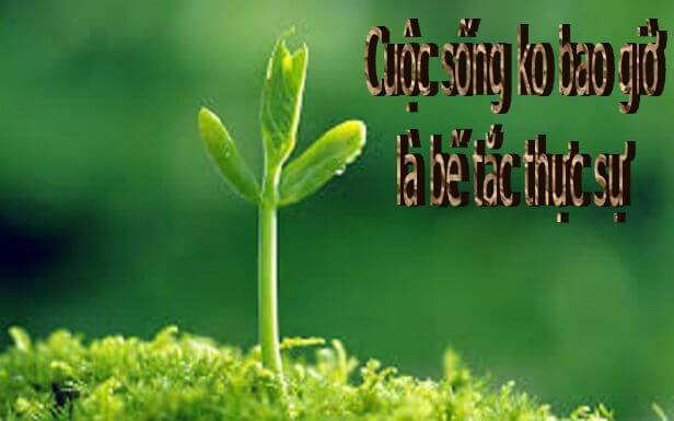  Cuộc sống ko bao giờ là bế tắc thực sự hay có khái niệm mất tất cả một khi bạn còn có niềm tin