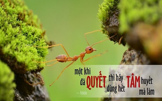 Trên con đường thành công cần phải cần cù siêng năng