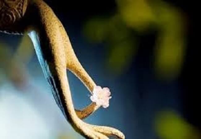 Vạn sự tùy duyên