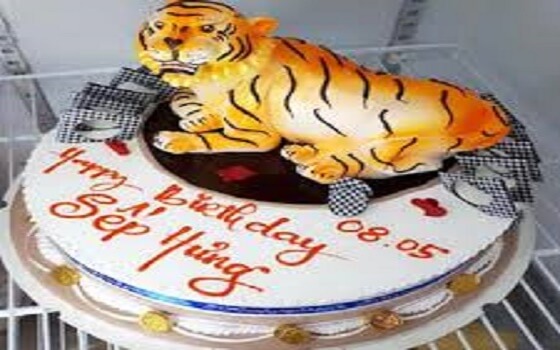 Sinh nhật tuổi hổ 3