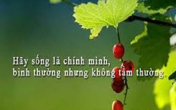 cuộc sống do mình quyết định