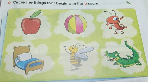 từ vựng cho bé lớp 1 hay nhất