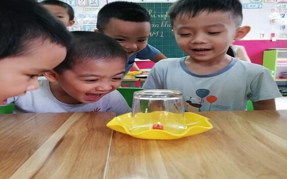 Học qua làm thí nghiệm khoa học