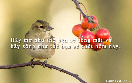 Bạn đừng để mọi thứ xung quanh bạn trôi qua vô nghĩa