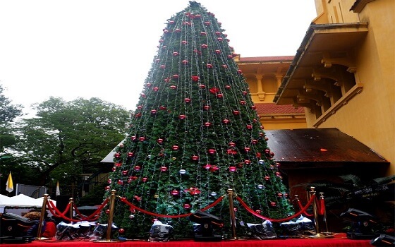 Cây thông trang trí đẹp mắt tại nhà thờ Cửa Bắc