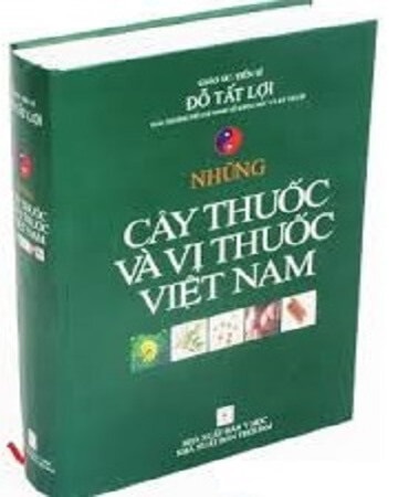 Những cây thuốc nam và bài thuốc quý chữa bệnh đông y