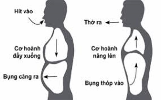 Tập lấy hơi từ bụng