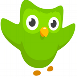 Phần mềm học tiếng anh Duolingo