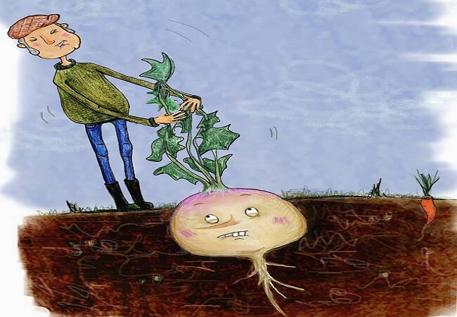 Truyện tiếng Anh thiếu nhi Người nông dân và củ cải khổng lồ