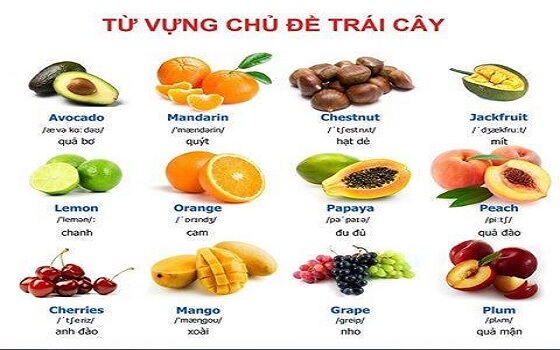 Từ vựng tiếng Anh về hoa quả