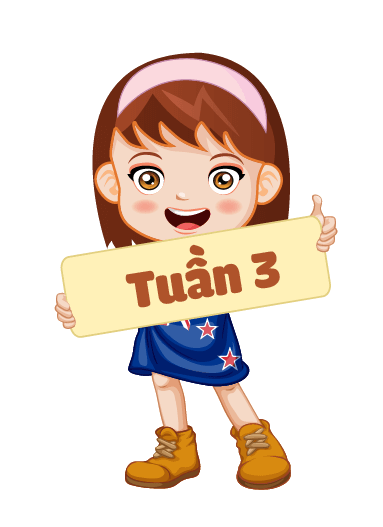 tuần 3