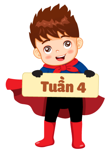 tuần 4