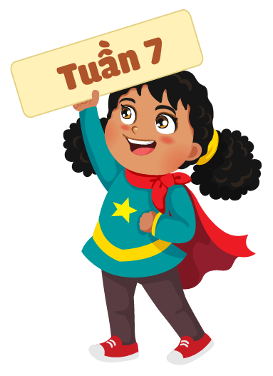 tuần 7