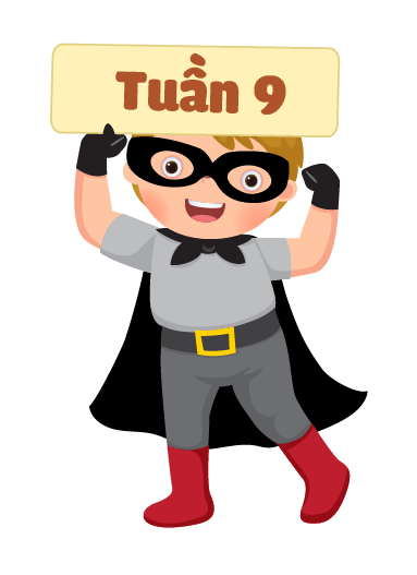 tuần 9