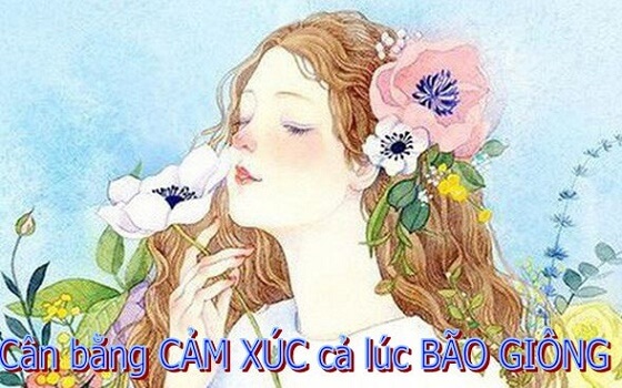 Review sách Hay “Cân bằng cảm xúc cả lúc bão giông”