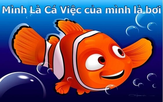 Review sách Mình Là Cá Việc Của Mình Là Bơi - 9 thói quen để vượt qua khó khăn và sống hạnh phúc