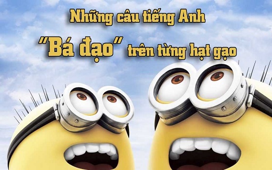 Top 20 Câu Đố Vui Tiếng Anh Hài Hước Có Đáp Án